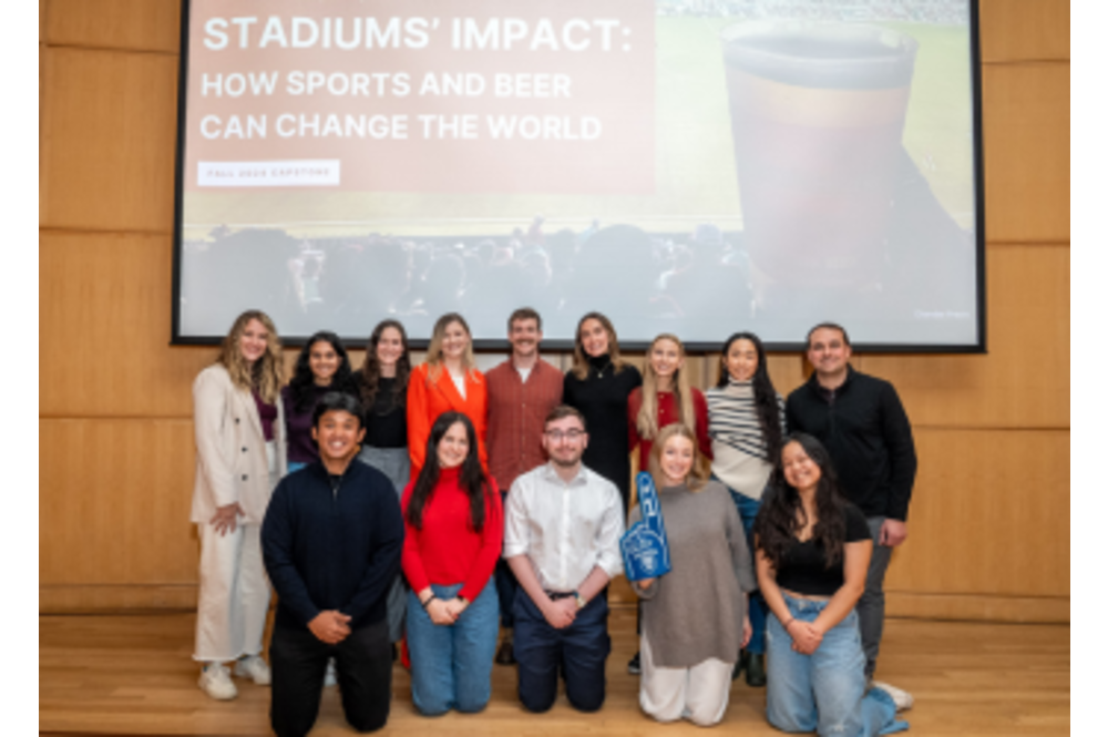 Investigating the role of stakeholders in leveraging sustainability strategies in sports
